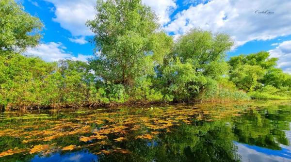 o noua cursa a fost introdusa pentru turistii care ajung in delta dunarii