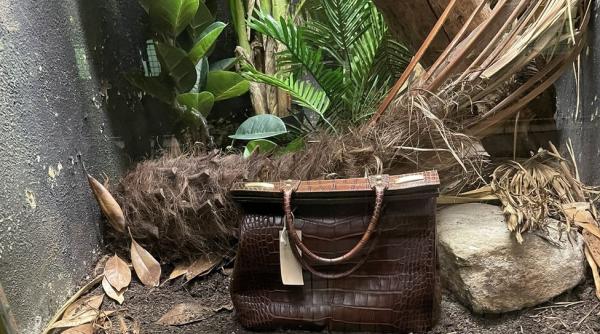 viral pe net geanta din piele de crocodil expusa la zoo in locul crocodilului