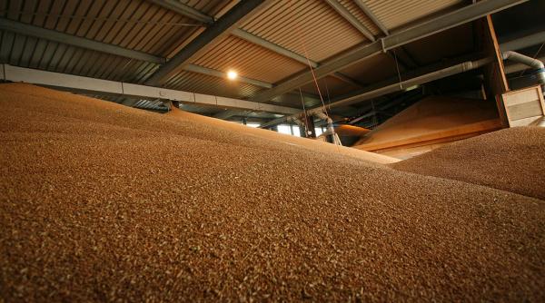 statul plateste 104 milioane de lei pentru depozitarea graului la rezerva strategica