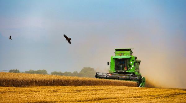 exporturile de cereale ale romaniei au crescut cu peste 77 in primele 5 luni din 2022