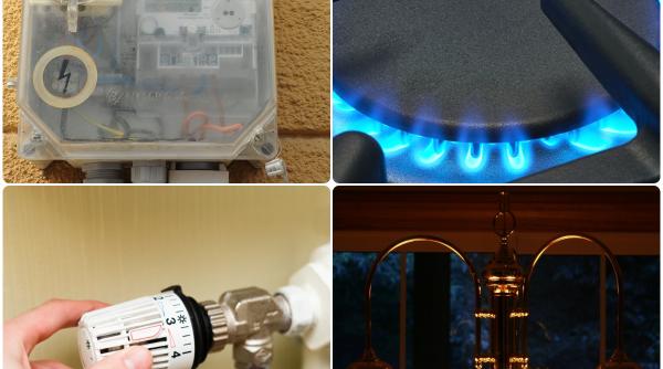 asociatia energia inteligenta propune guvernului un plan de masuri pentru eliminarea haosului de pe piatele de energie si gaze