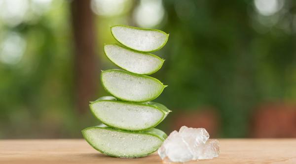 Descoperă de ce aloe vera este perfectă pentru pielea ta