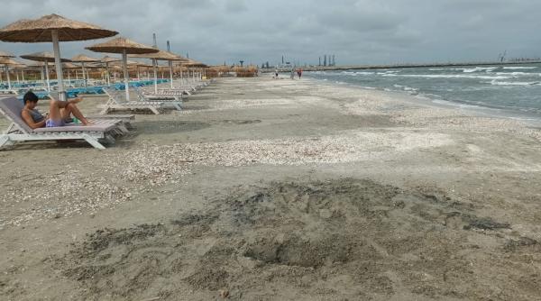 litoralul s a golit la cererea aliantei pentru turism