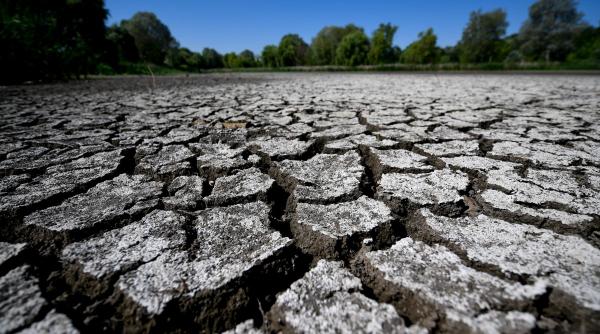 suprafata afectata de seceta a ajuns la a depasit 3469 000 de hectare in 36 de judete