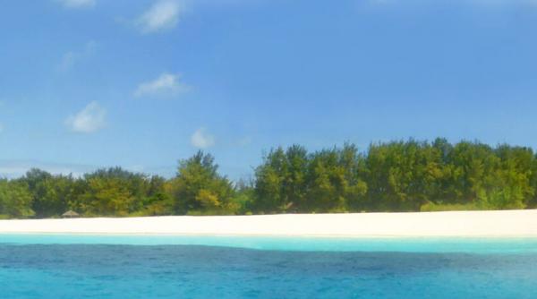 insula mnemba paradisul ascuns in mijlocul apelor oceanului indian
