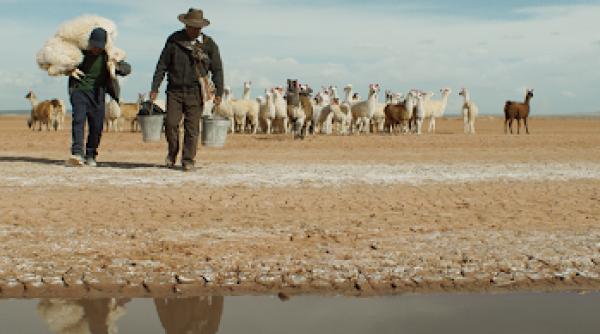 casa noastra filmul castigator al trofeului transilvania la tiff 2022 in cinematografe din 16 septembrie