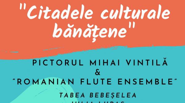 citadele culturale banatene