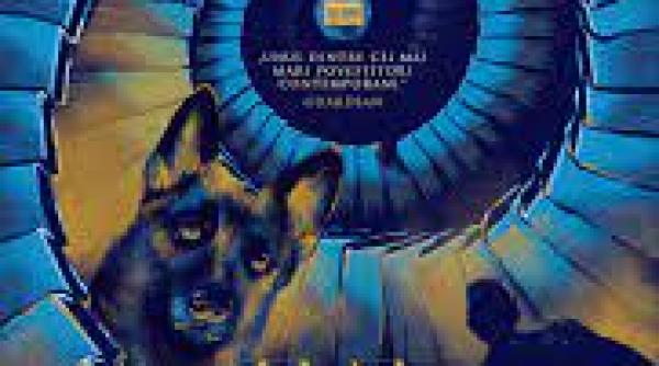 cele 4 carti ale momentului