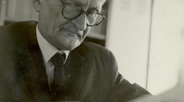 serban cel rau chitibusarul care i a urecheat pe mateiu si nichita