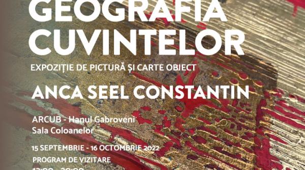 pictura carti obiect colaje si tesaturi in expozitia ancai seel constantin de la arcub