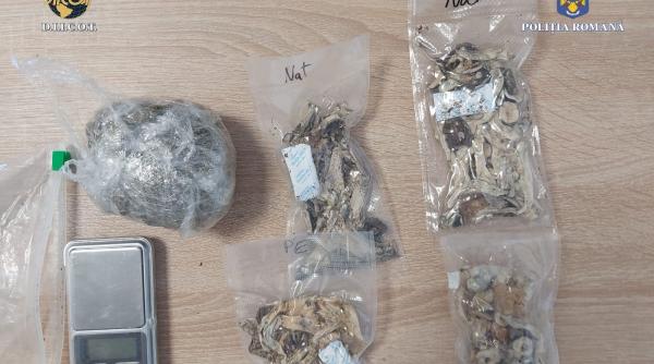 video prins in in flagrant cu ciuperci halucinogene si canabis a plecat din bucuresti sa vanda droguri de mare risc la un festival de muzica electronica din constanta