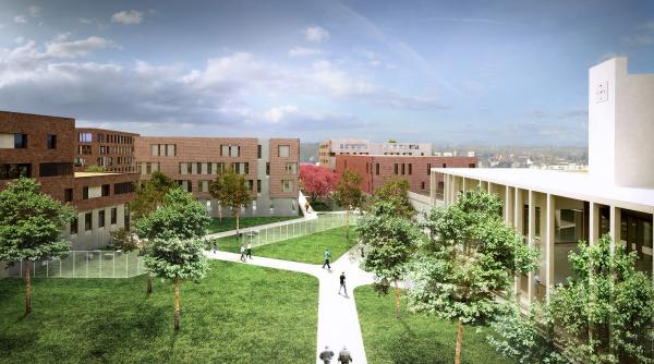 experiment belgian puscaria judecatorilor