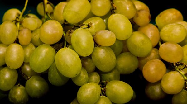 aromele toamnei strugurii