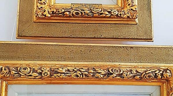 muzeul dinu si sevasta vintila topalu