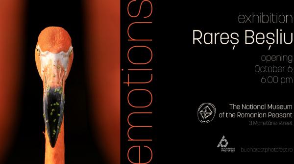 emotii prima expozitie fotografica despre emotiile vietii salbatice va putea fi vizitata intre 1 si 9 octombrie la muzeul national al taranului roman