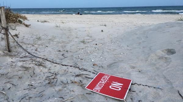 vadu punguta cu metale rare a romaniei ingropata in nisip si boemie