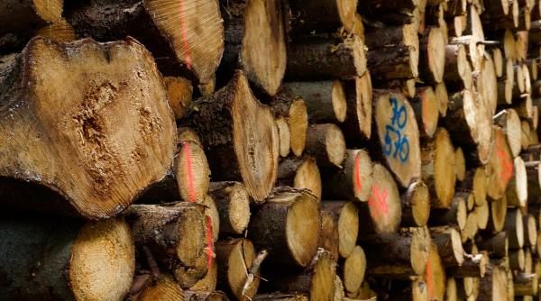 romania acorda sprijin pentru iarna r moldova 130 000 de metri cubi de lemn de foc