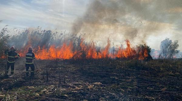 incendiu de stuf si vegetatie uscata in zona localitatii jurilovca interventia pompierilor este una dificila din cauza zonei greu accesibile
