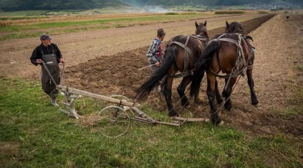 agricultura de subzistenta ne asigura primul loc in ue la saracie