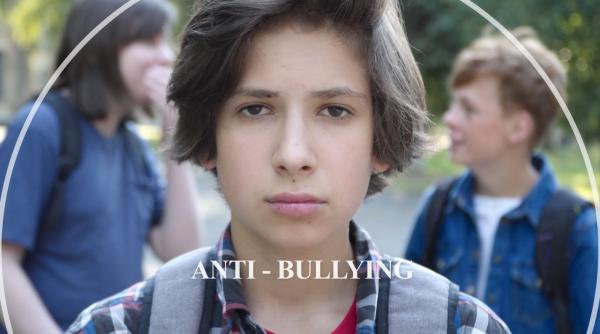 conferinta webdidactica organizata de fdvdr cum putem combate fenomenul de bullying