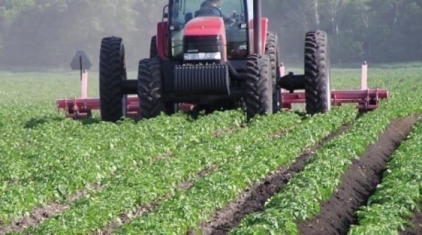 valoarea productiei agricole s a ridicat la circa 104 miliarde de lei in 2021