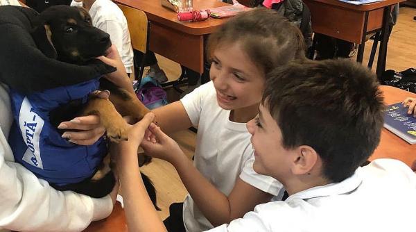 elevii din 80 de scoli din capitala vor invata cum sa interactioneze cu animalele