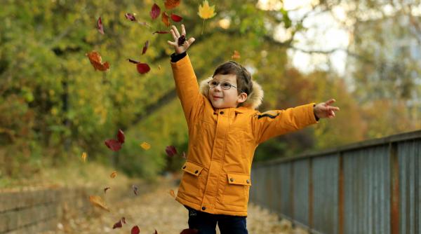 fa o pauza si bucura te de octombrie 5 citate celebre despre toamna