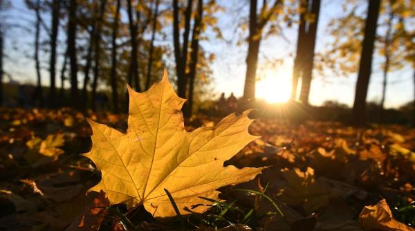 vremea pentru urmatoarele patru saptamani temperaturi peste media perioadei