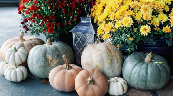 copiii invitati sa sculpteze si sa decoreze dovleci cu personalitate la muzeul antipa