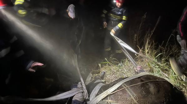 cal salvat dintr o groapa de doi metri de pompierii tulceni