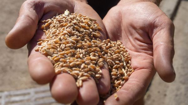 casa alba afirma ca rusia foloseste alimentele drept arme