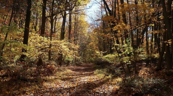 prognoza meteo pentru 31 octombrie 13 noiembrie 2022 vremea se va raci treptat temperaturile minime coboara pana la 3 grade