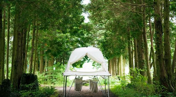 glamping la inaltime cortul cu doua etaje si hamac ultima inovatie in materie de campare