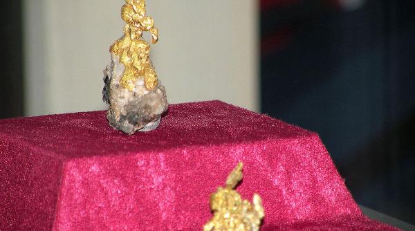 ministerul economiei vrea redeschidere minelor si recensamantul resurselor minerale