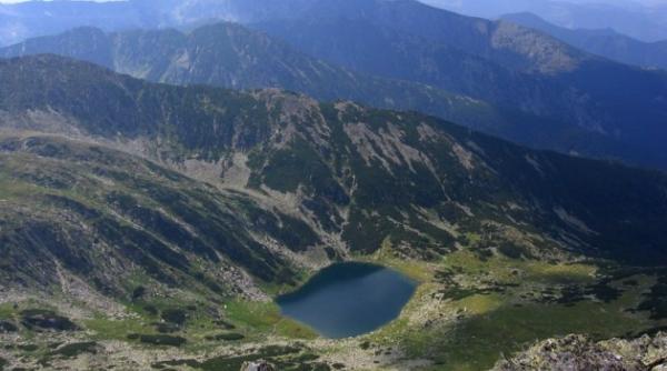 s a decis parcul retezat revine in proprietatea statului roman