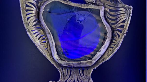 concursul international de arta plastica gheorghe petrascu si a desemnat laureatii