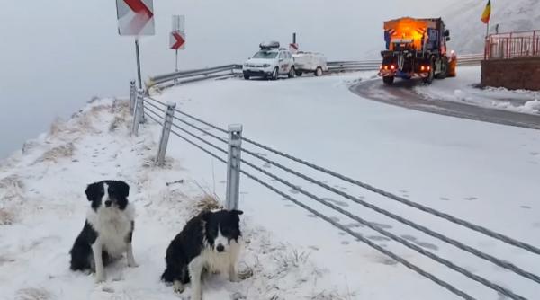 mai multe sectoare de pe transalpina si transfagarasan se inchid de joi