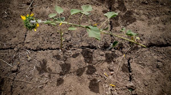 reabilitarea sistemul national de irigatii varianta modificata si completata ajunge pe masa guvernului