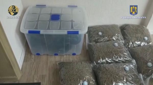 trafic droguri cocaina flagrant arest