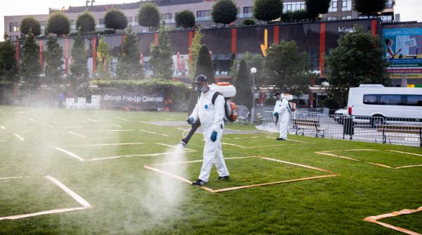 combate populatia de rozatoare cu firma de deratizare iasi si produse dintr un magazin ddd