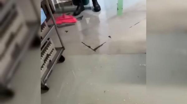 inundatii academia politie imagini europol