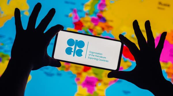 cotatie titei scade redus nivel an motive