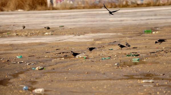 vesti bune litoral deseuri plastic top obiecte aruncate plaje marea neagra