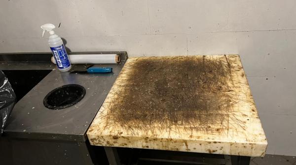 alimente mucegaite expirate din 2019 muste mizerie miros intepator si excremente de animale la un restaurant din vadu