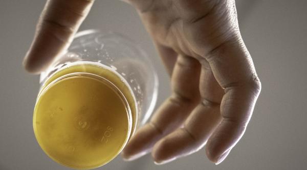 sarbatori de iarna 2022 bere