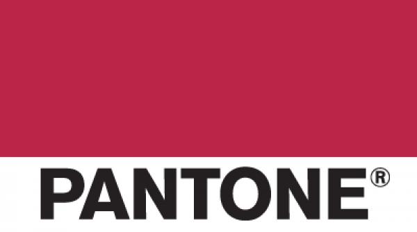 viva magenta culoarea anului 2023