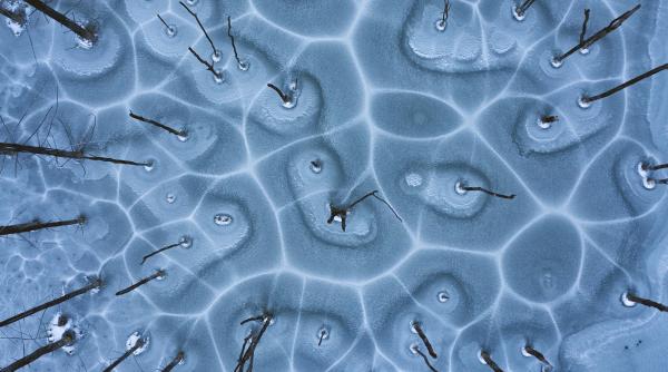 fotografie lac cuejdel premiata concurs international