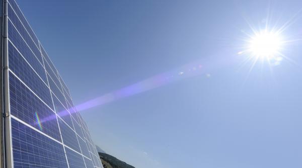 usr coalitia taxa soare