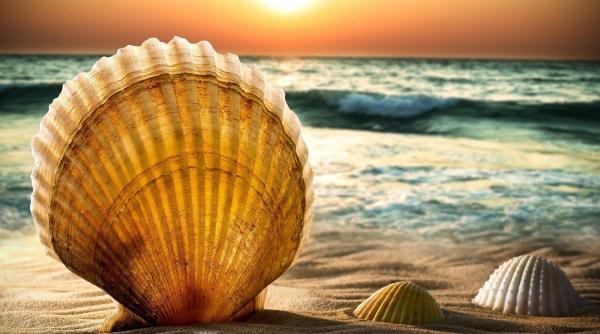 de ce aleg turistii statiunea mamaia