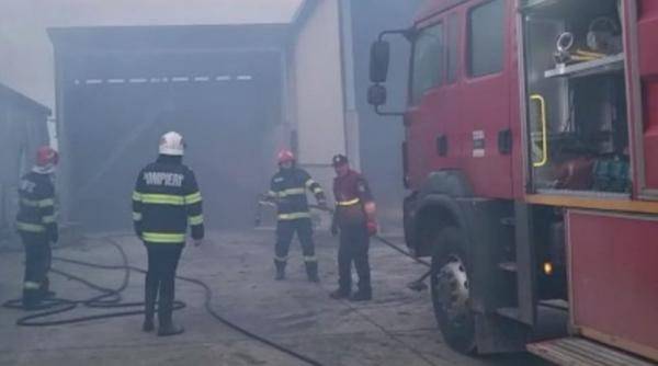 incendiu ferma avicola satu mare